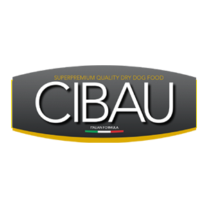 Cibau
