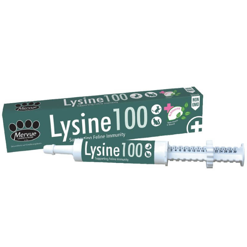 Lysine 100 pasta 30 ml