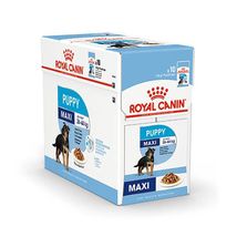 Royal Canin SHN Maxi Puppy vlažna hrana 10x140g