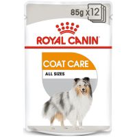 Royal Canin CCN Coat Care vlažna hrana 12x85g