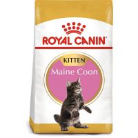 Royal Canin FBN Kitten Maine Coon 