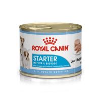 Royal Canin CHNW konzerva za pse Mini Starter Mouse 195 g