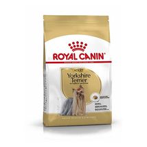 Royal Canin BHN Adult Yorkshire Terrier