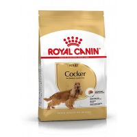 Royal Canin BHN Adult Koker Španijel 3 kg