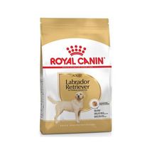 Royal Canin BHN Adult Labrador Retriver