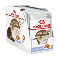 Royal Canin FHN Ageing +12 kesica za mačke u želeu 12x85g