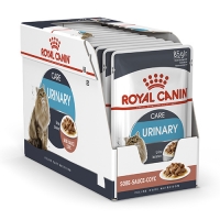 Royal Canin FHN Urinary Care kesica za mačke u sosu 12x85g