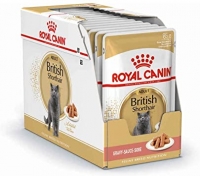 Royal Canin FBN British Shorthair kesica za mačke u sosu 12x85g