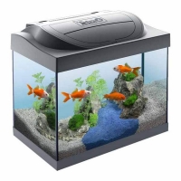 Tetra Akvarijum Starter Line Led Gold 30 l